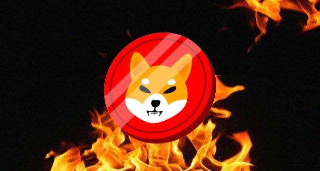 shiba-inu-burn-rate-explodes-7,686,774%,-what’s-going-on?
