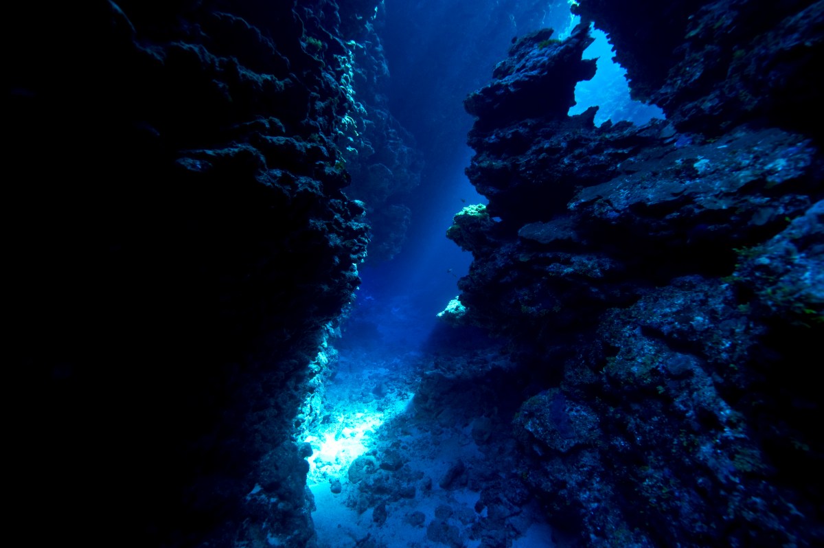terradepth-wants-to-map-the-rest-of-the-ocean-floor