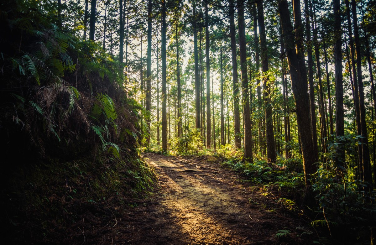 from-golf-to-hunting,-a-new-crop-of-startups-want-to-make-these-experiences-even-better
