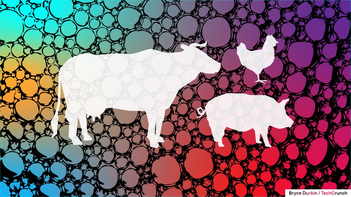 even-after-$1.6b-in-vc-money,-the-lab-grown-meat-industry-is-facing-‘massive’-issues