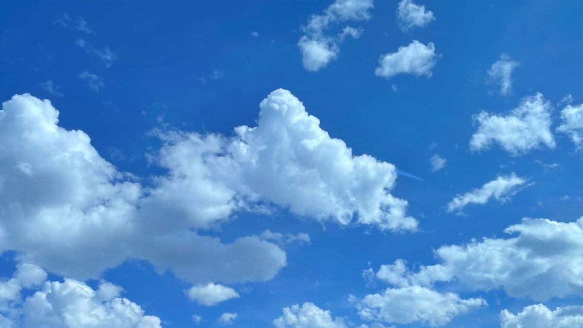 bluesky-adds-techdirt-founder-mike-masnick-to-its-board